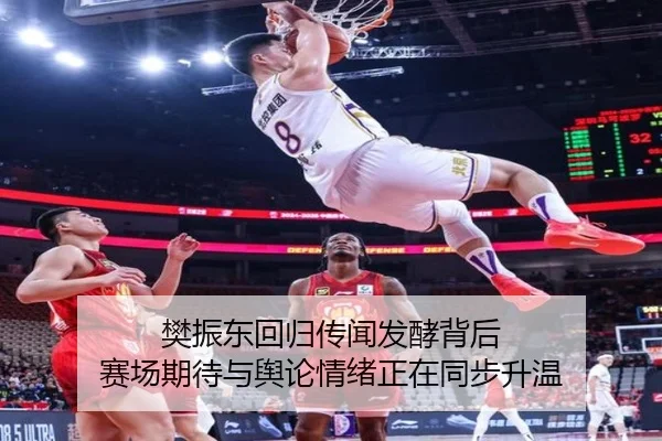 樊振东回归传闻发酵背后 赛场期待与舆论情绪正在同步升温